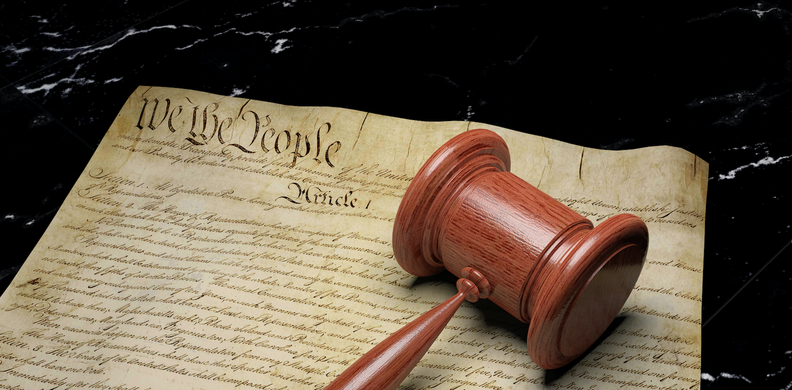 1WeThePeople