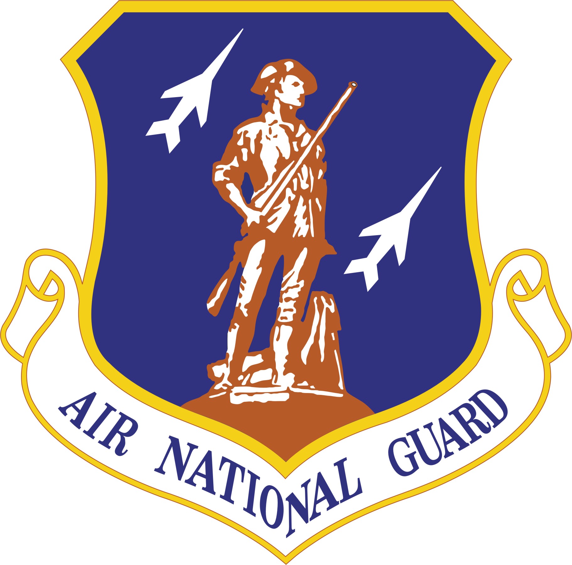Air National Guard color