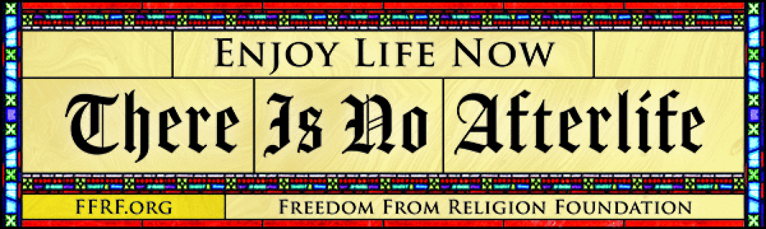 Enjoy Life Now There Is No Afterlife bumper sticker