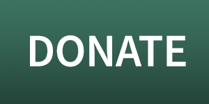 donate button