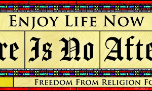Enjoy Life Now There Is No Afterlife