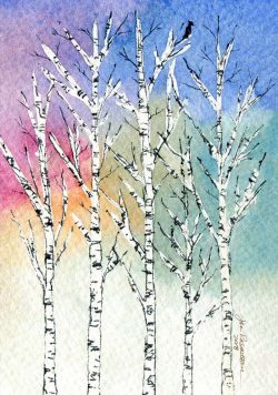 Birch Trees