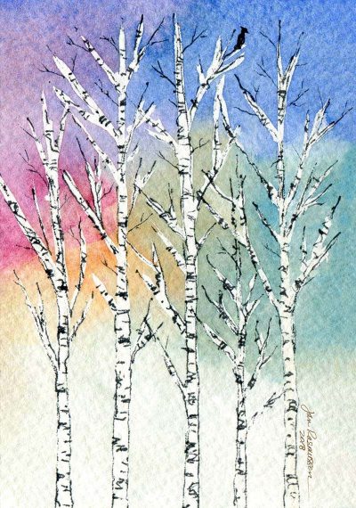 Birch Trees