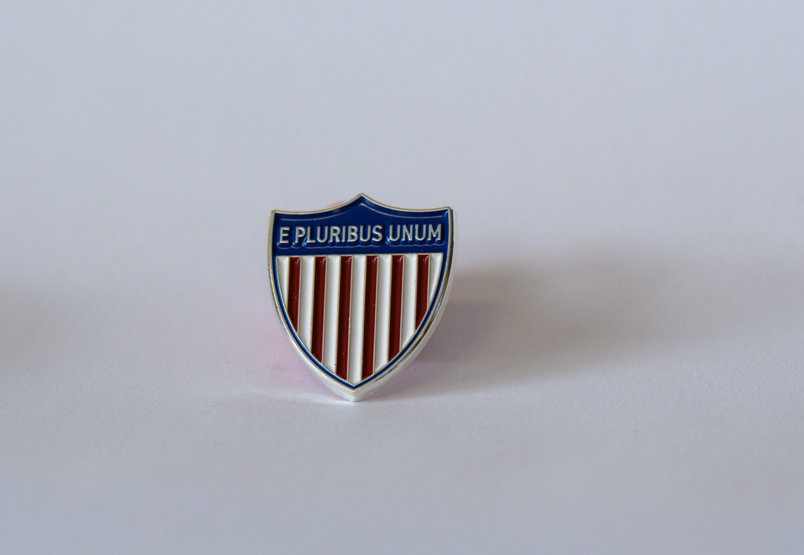 E Pluribus Unum Lapel Pin